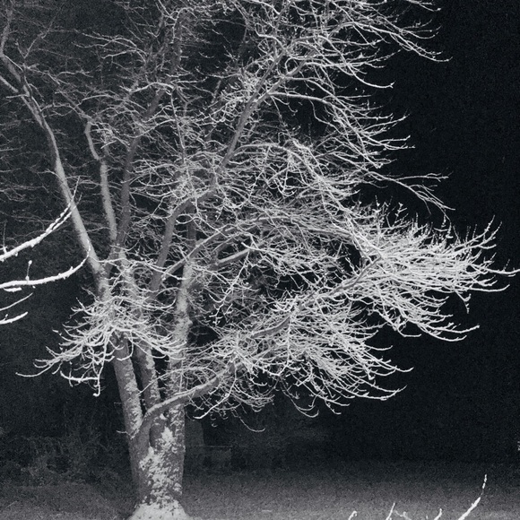 Meet your Posher, Melissa - Picture 1 of 1